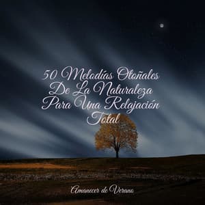 50 Melodías Otoñales De La Naturaleza Para Una Relajación Total - New Age