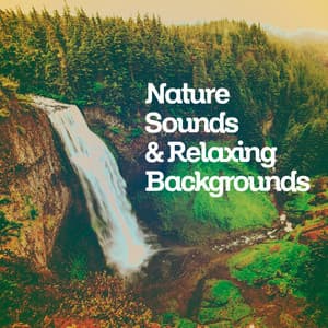 Nature Sounds & Relaxing Backgrounds - Nature Sounds & Backgrounds