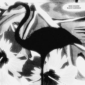 Black Flamingo - Mike Cooper