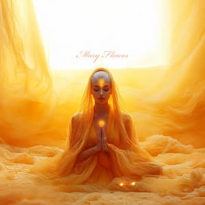 End Your Day in Miracle Vibration - Mary Flowes