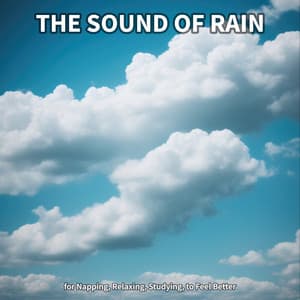 The Sound of Rain for Napping, Relaxing, Studying, to Feel Better - Rain Sounds