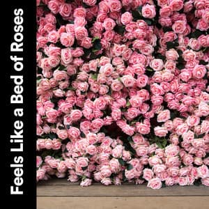Feels Like a Bed of Roses - Pink Noise Babies