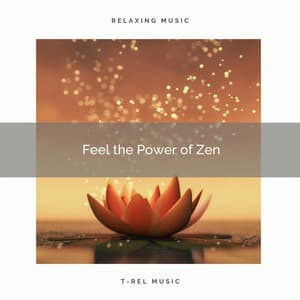 ! ! ! ! ! Feel the Power of Zen - Sounds of Nature White Noise for Mindfulness Meditation and Relaxation
