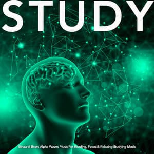 Study: Binaural Beats Alpha Waves Music For Reading, Focus & Relaxing Studying Music - Study Music & Sounds