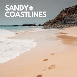 Sandy Coastlines - Natures Orchestra