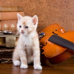 Music For Cat Wellness: Purr and Harmony - Matter and Energy
