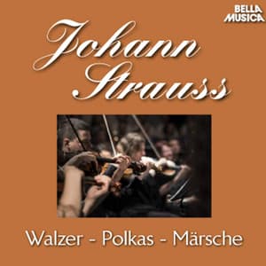 Strauss Sohn: Walzer - Polkas - Märsche, Vol. 1 - Johann Strauss II
