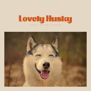 Lovely Husky - Dog Music Hour