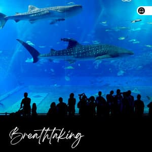 Breathtaking - Mother Nature Sound FX