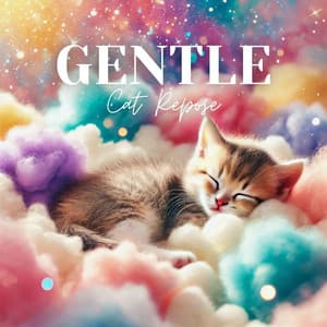 Gentle Cat Repose - Pet Relax Academy