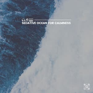 Sedative Ocean for Calmness - Ocean Sounds