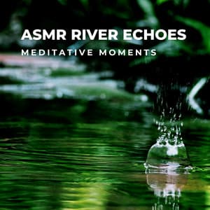 ASMR River Echoes: Meditative Moments - Rainforest Meditations