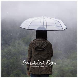 Scheduled Rain - Rain Drops for Sleep