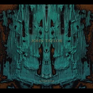 Little Wave - John Taylor