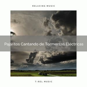2021 Pajaritos Cantando de Tormentas Eléctricas - Academia de Música con Sonidos de la Naturaleza
