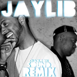 Champion Sound: The Remix - Jaylib