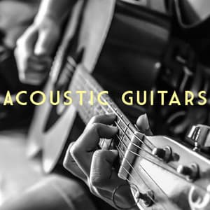 Acoustic Guitars - Spanish Guitar
