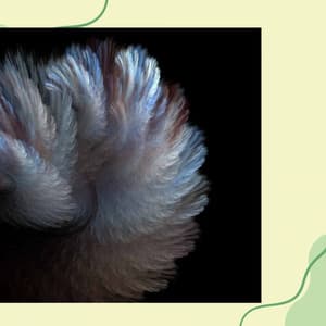 Ambiance for Thoughtful Afternoons - Lounge Music Cafe