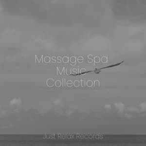 Massage Spa Music Collection - MÚSICA PARA NIÑOS