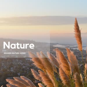 Nature’s Calm and Quiet Moments - Nature's Frequencies