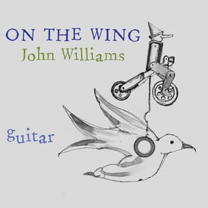 On the Wing - John C. Williams