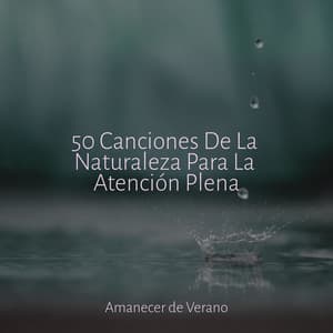 50 Canciones De La Naturaleza Para La Atención Plena - Relaxing Music