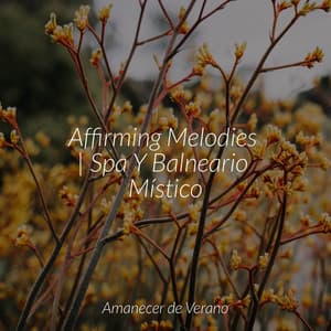 Affirming Melodies | Spa Y Balneario Místico - Sonidos De Truenos y Lluvia