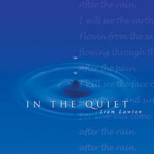 In the Quiet - Liam Lawton