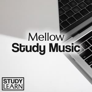 Mellow Study Music - Study Learn