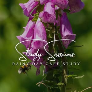 Jazz Reverie: Café Lounge Study Sessions - Soft Jazz Music