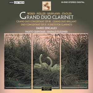Grand Duo Clarinet - Harald Fleissner