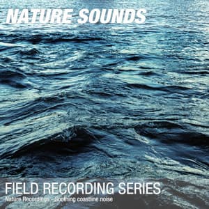 Nature Recordings - Soothing coastline noise - Nature Sounds