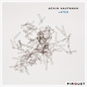 Later - Achim Kaufmann