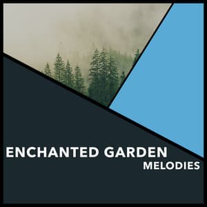 Enchanted Garden Melodies - Reiki Collective