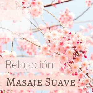 Relajación Masaje Suave - Música de Masajes, Suave Melodía de Piano para Terapia - Lina Suave