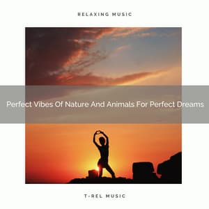 Perfect Vibes Of Nature And Animals For Perfect Dreams - The Forest Escape
