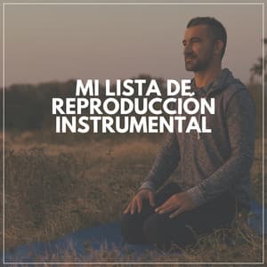 Mi Lista De Reproducción Instrumental - Reiki y Tai Chi Armonía