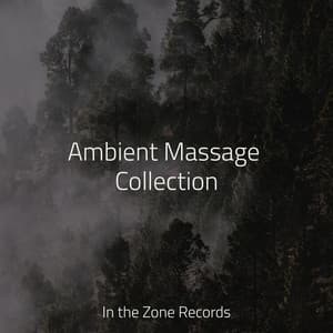Ambient Massage Collection - Lounge Music Café