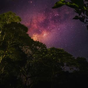 50 White Noise Sounds For Sleeping: Cosmos - White Noise