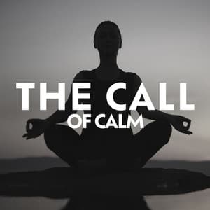 The Call of Calm: Return to Peace & Soothe Your Nerves, Find Tranquility Within - Lynn Samadhi