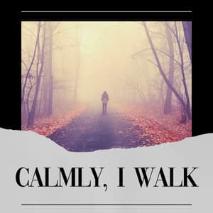 Calmly, I Walk - Calm Music for Studying