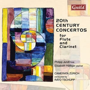 Haller: Concerto - Vogel: Concertino - Blum: Concertino - Schaeuble: Concertino Op. 47 - Philipp Jundt