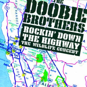 Rockin' Down The Highway: The Wildlife Concert - The Doobie Brothers