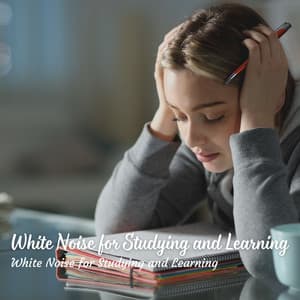Study Serenades: White Noise for Studying and Learning - White Noise for Studying