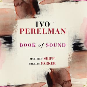 Book of Sound - Ivo Perelman