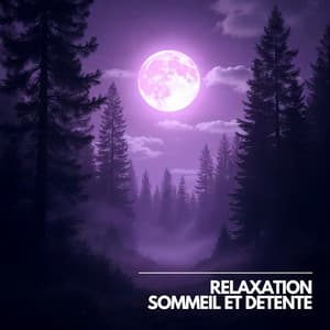 Méditations au Bord de l’Inconscient - Musique Calme et Relaxation