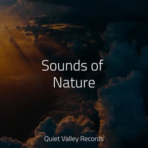 Sounds of Nature - Rain Sounds & White Noise