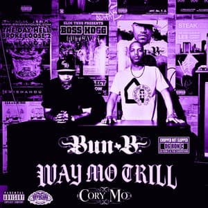 WAY MO TRILL - Bun B