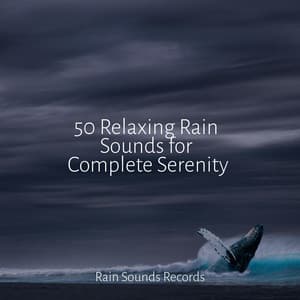 50 Relaxing Rain Sounds for Complete Serenity - Relajación
