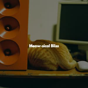 Meow-sical Bliss - Instrumental Jazz Musica Ambiental